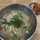 [의정부 가능역 맛집] 국물 드링킹 유발하는 가성비 끝판왕, '아빠손칼국수' 혼밥 찐 후기!