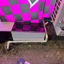 핑키펑키 부평점 이미지