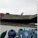 대기농촌체험마을 이미지