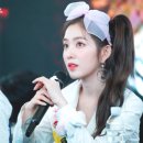 댕댕샤워 이미지