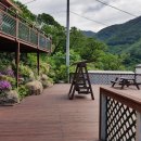 펜션화수목 이미지