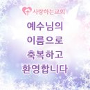 새꽃로(1) 이미지