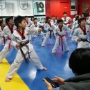 경희대 연호 태권도 이미지