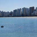 게스트하우스 어반 | 부산여행 광안리 도보5분 가성비 어반 게스트하우스 추천 잠귀 어두운사람 드루와