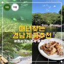 하동군청 | 하동 계곡 쌍계사 취사가능 계곡 세이암 주차 물놀이 팁, 켄싱턴 리조트 할인 방법