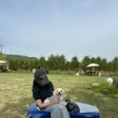 카페음봉 이미지