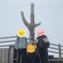 한라산약국 이미지