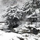 고운연합의원 이미지