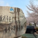 서평택국민체육센터 체육관 이미지