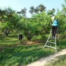 일봉농장 이미지