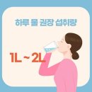 인셀덤스타일
