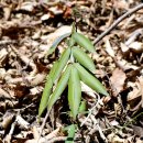 개산초등학교 이미지