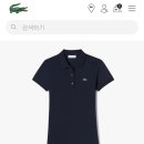 조조프로젝트 이미지