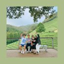 서서울(목포)졸음쉼터 | [2025.10.03~10.06]