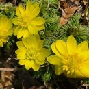 장미로(대로3-12) 이미지