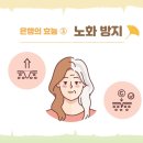 에이치ㆍ진필라테스 네이버블로그