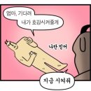 겹겹삼 | 가족들과 함께했던 힐링 11