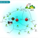 전남 영광 불갑사 상사화축제 이미지