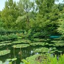 모네의 정원 이미지