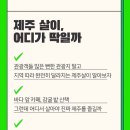 제주수공인중개사사무소 이미지