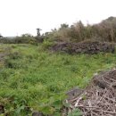 시흥리-1 이미지