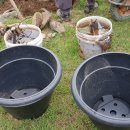 꼬마연못 이미지