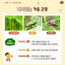 아람정식