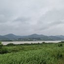 추석날의 풀 한 망 이미지