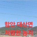 다보부동산중개사무소 이미지