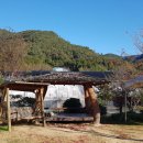 김인성농장 이미지