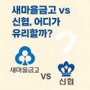새마을금고중앙회 노동조합 | 신협과 새마을금고 차이점 총정리: 예금금리·대출·마이너스통장 비교