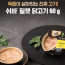 야옹아멍멍해봐단관점