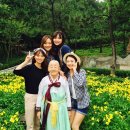 딸부잣집 이미지