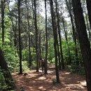 벧엘교회 사거리(3) 이미지