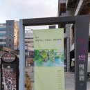 누벨백미술관 | [전주미술관]누벨백 미술관 후기 #부동산여신