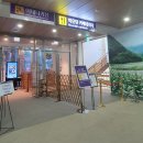 록키노래연습장 | [하이원리조트]마운틴콘도 후기 워터파크 스키 곤돌라