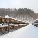 이덕장코다리 이미지