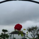 태영(아) 이미지