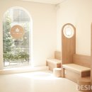 캣앤캣 고양이 병원 이미지