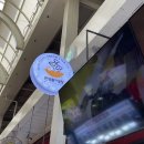 중앙동147 | 속초 중앙동 초밥 맛집 속초중앙시장 초밥 추천 민영활어공장 내돈내산 찐후기