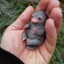 오리너구리 | 로에베 초신상 오리너구리백 을 아십니까 오리너구리가방 실물, 구매 후기, 시어링 플래티퍼스백 언박싱