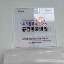 메트로동물병원