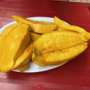 맛있는하노이 이미지