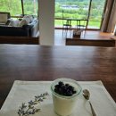 새운2농장 | 나 자격 있는 거지?