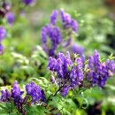 태백 관광지 투어 이미지