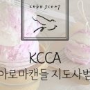 지크센트 이미지