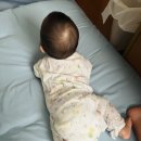 외궁 | [일본에서 육아하기] 9개월 아기와 미에 친가 첫 방문(2) 0세 아가와 이세신궁 다녀오기