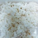 하늘바이오 이미지