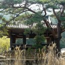 보길도 윤선도 원림 이미지