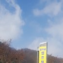 동막골 캠프텔 이미지